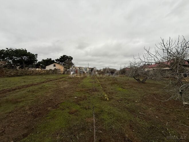 Продаётся  участок 42 сот, пос. Мардакан, photo 4 from 8