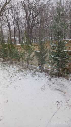 İcarəyə verilir 3 otaqlı həyət evi/bağ evi 100 m², photo 13 from 16