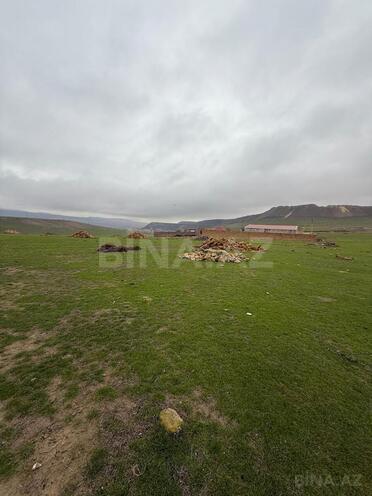 Satılır  torpaq 8 sot, Qobu q., photo 6 from 15