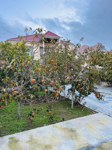 Satılır 6 otaqlı həyət evi/bağ evi 200 m², Qaraçuxur q., photo 4 from 28