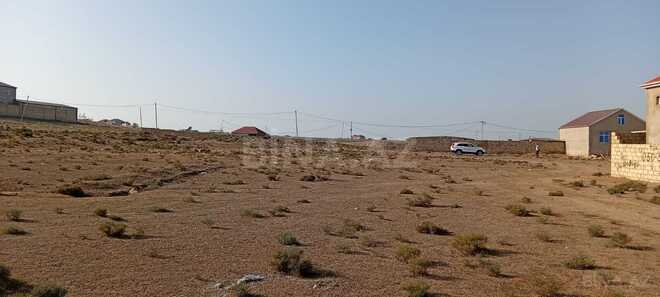 Satılır  torpaq 4.2 sot, Saray q., photo 4 from 11