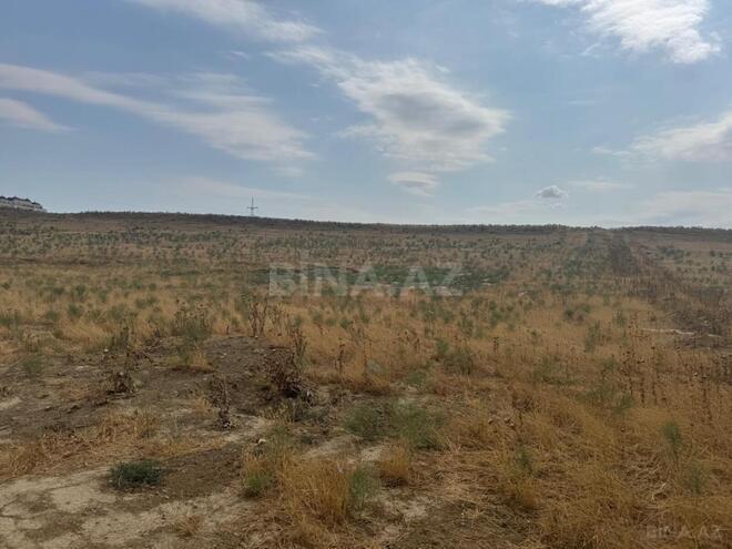 Продаётся  участок 98 сот, пос. Масазыр, photo 9 from 10