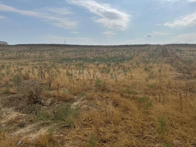 Продаётся  участок 98 сот, пос. Масазыр, photo 3 from 10