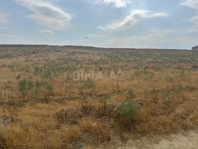 Продаётся  участок 98 сот, пос. Масазыр, photo 7 from 10