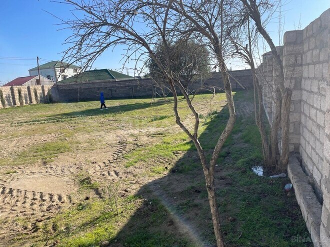 Продаётся  участок 10 сот, пос. Вишнёвка, photo 9 from 12