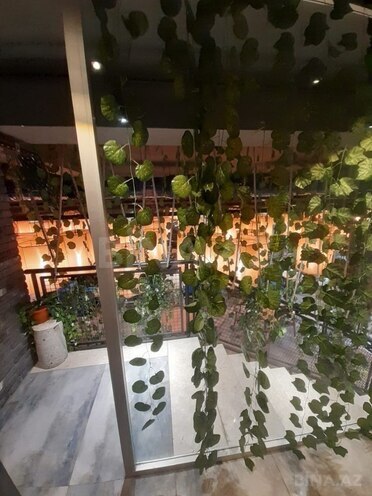 Продаётся  объект 240 м², м. Ази Асланов, photo 6 from 10