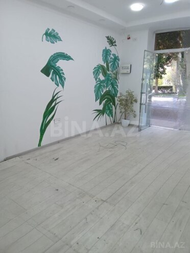 Продаётся  объект 60 м², м. Элмляр Академиясы, photo 4 from 7