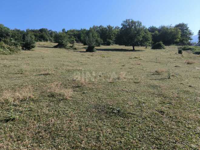 Satılır  torpaq 80 sot, photo 4 from 9