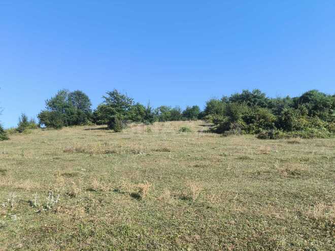 Satılır  torpaq 80 sot, photo 3 from 9