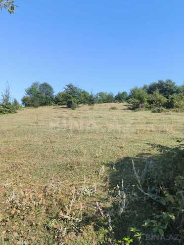 Satılır  torpaq 80 sot, photo 6 from 9