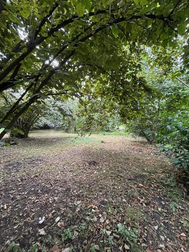 Satılır  torpaq 30 sot, photo 3 from 9