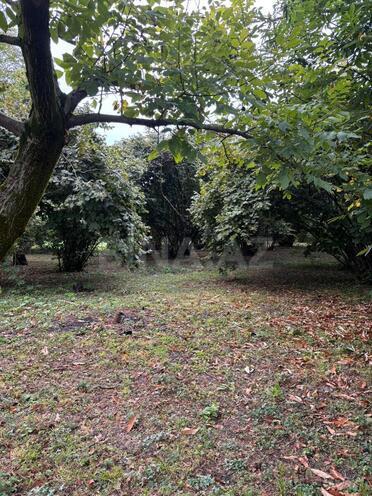 Satılır  torpaq 30 sot, photo 1 from 9