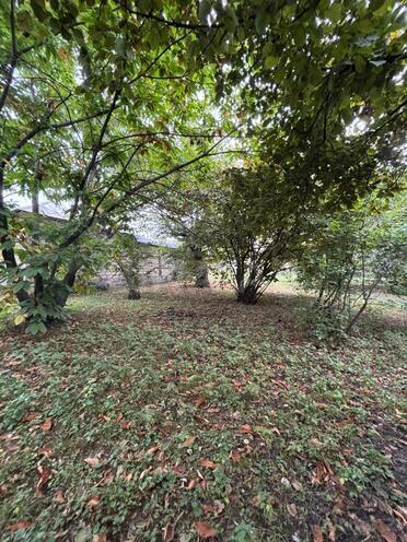 Satılır  torpaq 30 sot, photo 4 from 9