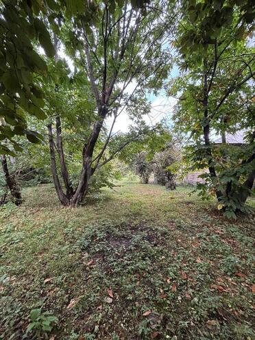 Satılır  torpaq 30 sot, photo 5 from 9