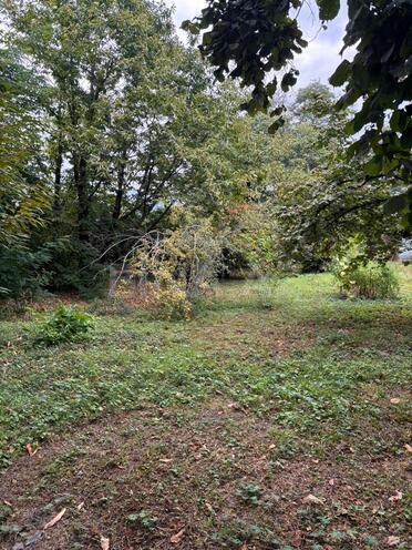 Satılır  torpaq 30 sot, photo 7 from 9