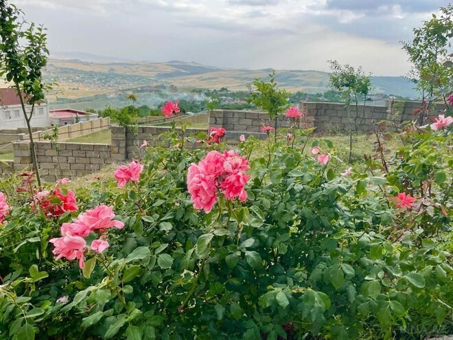 Продаётся 5-комн. дом/дача 250 м², photo 5 from 28