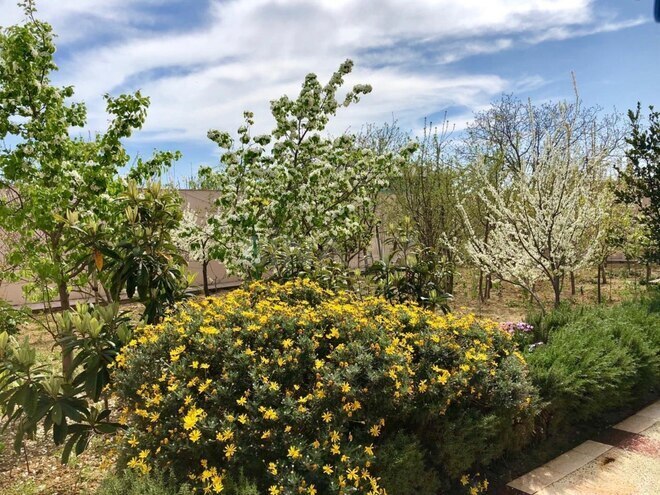 Продаётся 8-комн. дом/дача 450 м², пос. Новханы, photo 9 from 32