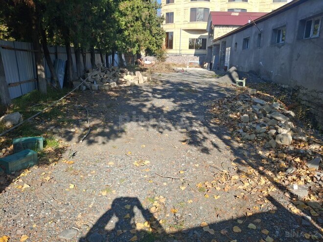 Satılır  obyekt 1 000 m², photo 3 from 19