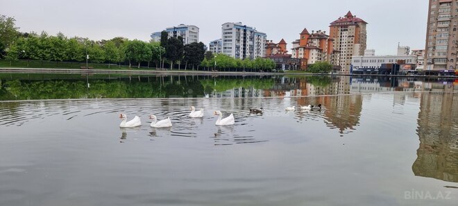 Продаётся 4-комн. новостройка 160 м², Насиминский  р., photo 29 from 32