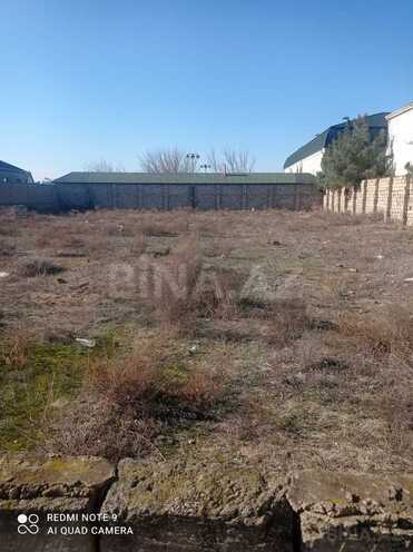 Продаётся  участок 12 сот, пос. Шувеляны, photo 3 from 12