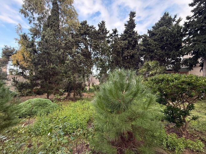 Satılır  torpaq 24 sot, Mərdəkan q., photo 1 from 14