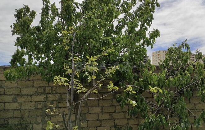Продаётся  участок 3.5 сот, пос. Сарай, photo 5 from 11