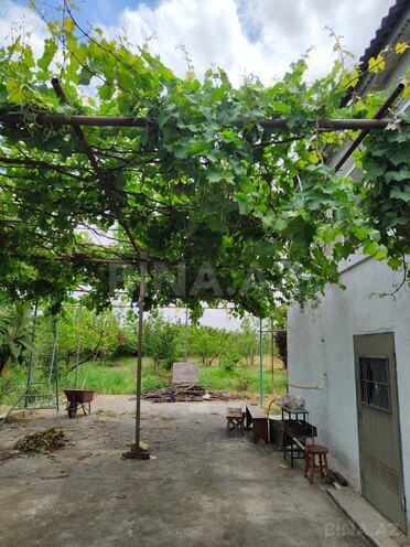 Satılır 2 otaqlı həyət evi/bağ evi 73 m², Xaçmaz r., photo 4 from 14