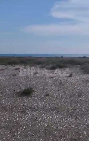 Satılır  torpaq 112 sot, Türkan q., photo 3 from 12