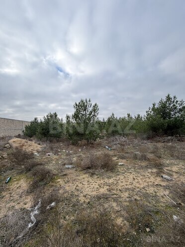 Продаётся  участок 8 сот, пос. Шувеляны, photo 4 from 13