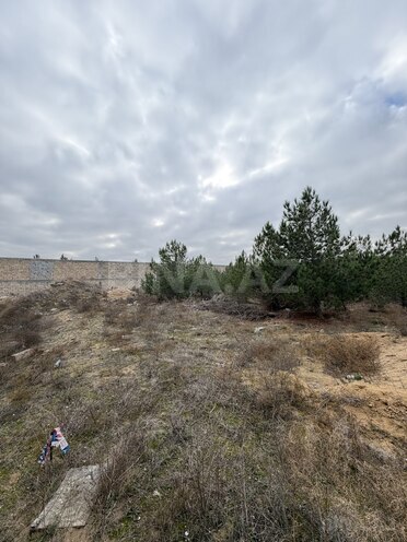 Продаётся  участок 8 сот, пос. Шувеляны, photo 7 from 13