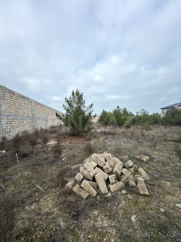 Продаётся  участок 8 сот, пос. Шувеляны, photo 10 from 13