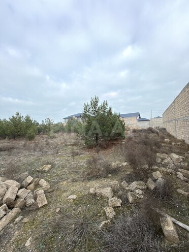 Продаётся  участок 8 сот, пос. Шувеляны, photo 9 from 13