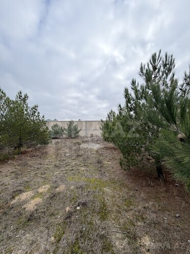 Продаётся  участок 8 сот, пос. Шувеляны, photo 11 from 13