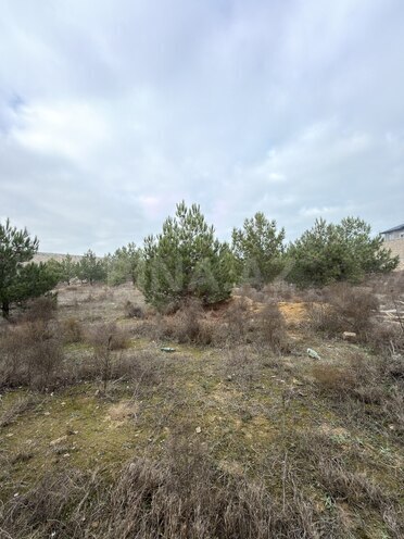 Продаётся  участок 8 сот, пос. Шувеляны, photo 12 from 13