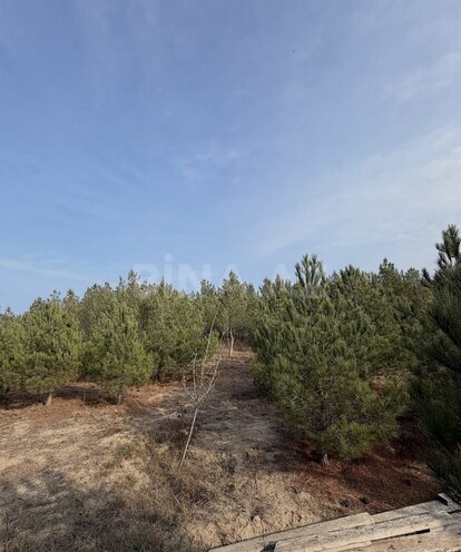 Satılır  torpaq 16 sot, Şüvəlan q., photo 4 from 15