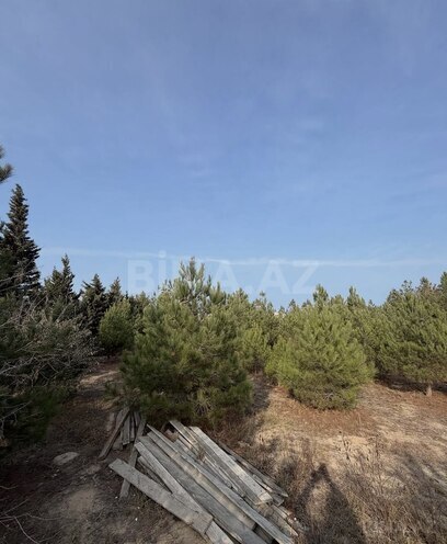 Satılır  torpaq 16 sot, Şüvəlan q., photo 5 from 15