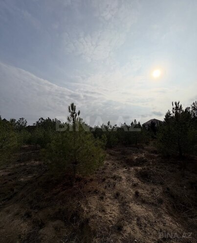 Satılır  torpaq 16 sot, Şüvəlan q., photo 13 from 15