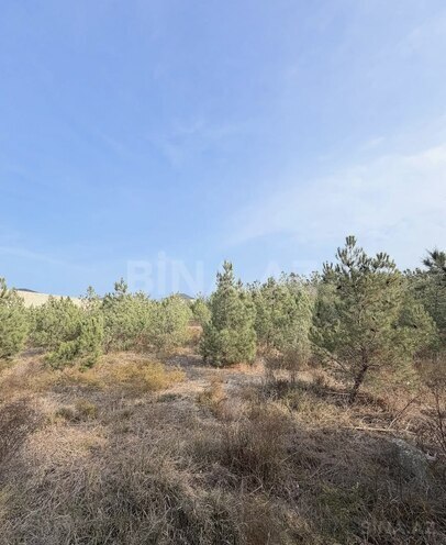 Satılır  torpaq 16 sot, Şüvəlan q., photo 10 from 15