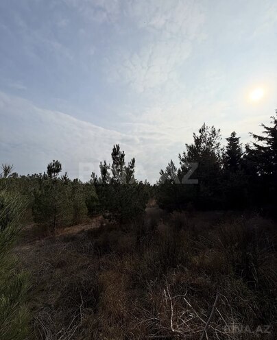 Satılır  torpaq 16 sot, Şüvəlan q., photo 12 from 15