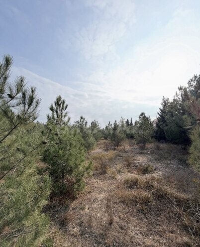 Satılır  torpaq 16 sot, Şüvəlan q., photo 11 from 15