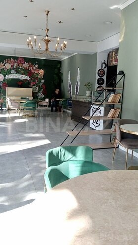 Satılır  obyekt 490 m², photo 10 from 23