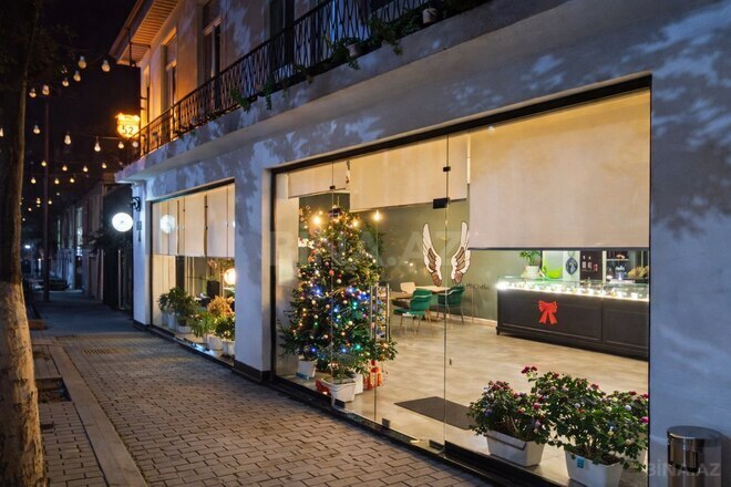 Satılır  obyekt 490 m², photo 13 from 23