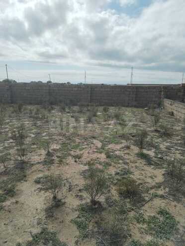 Продаётся  участок 2.4 сот, пос. Бадамдар, photo 4 from 7