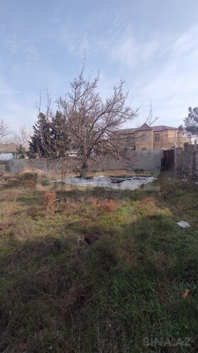 Продаётся  участок 6 сот, пос. Новханы, photo 6 from 8