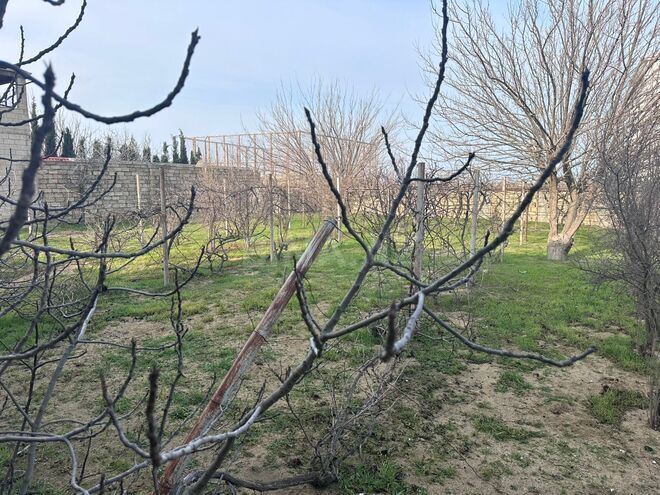 Satılır  torpaq 3 sot, Görədil q., photo 6 from 10