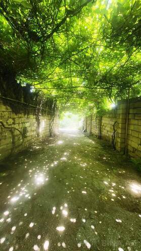 Продаётся 5-комн. дом/дача 160 м², пос. Новханы, photo 12 from 29