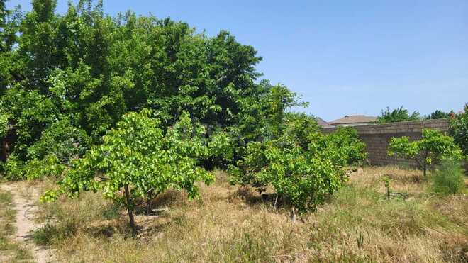 Продаётся 5-комн. дом/дача 160 м², пос. Новханы, photo 16 from 29