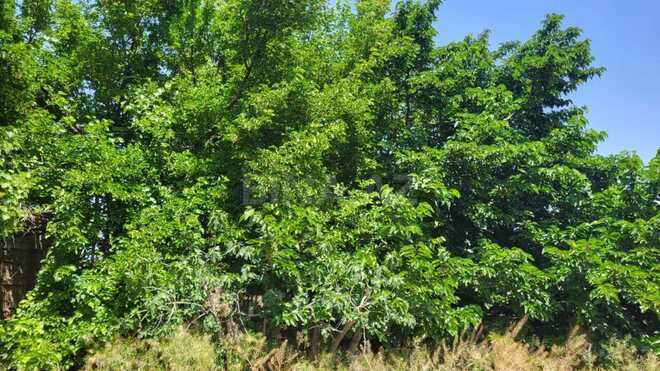 Продаётся 5-комн. дом/дача 160 м², пос. Новханы, photo 19 from 29