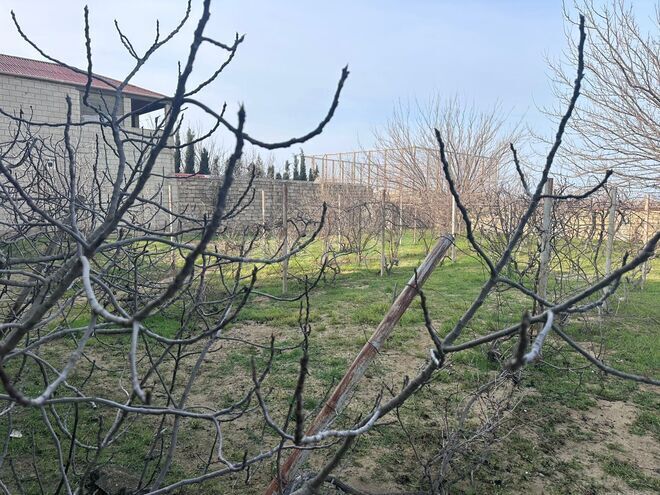 Продаётся  участок 4 сот, пос. Горадил, photo 4 from 18