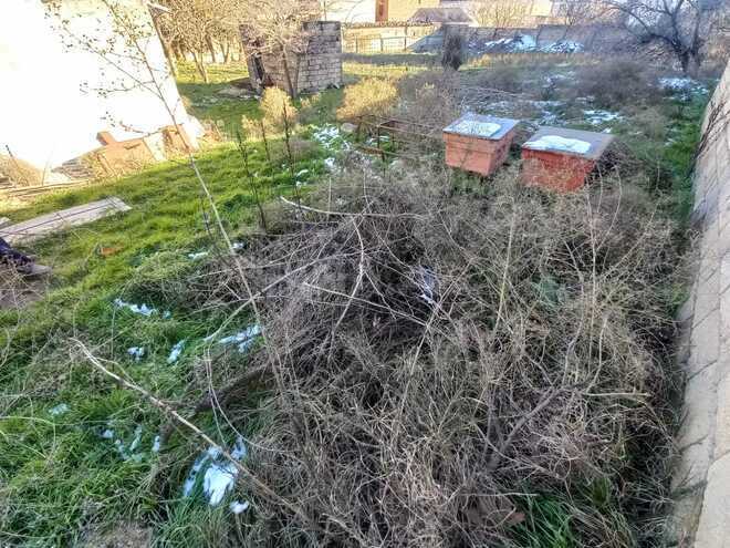 Продаётся  участок 18.5 сот, Абшеронcкий  р., photo 6 from 14